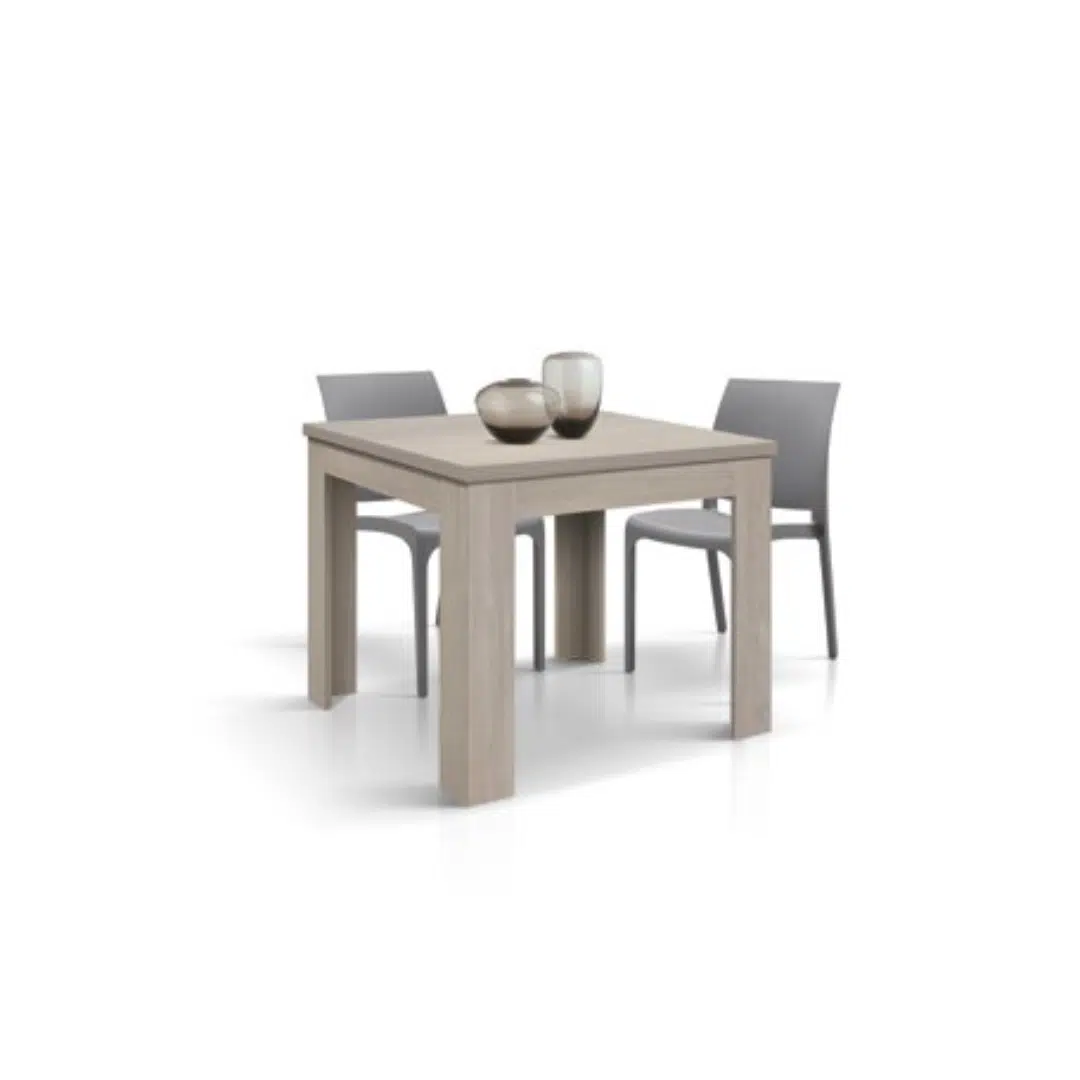 MASA LIZZY extensibila 90cm/90cm - 4