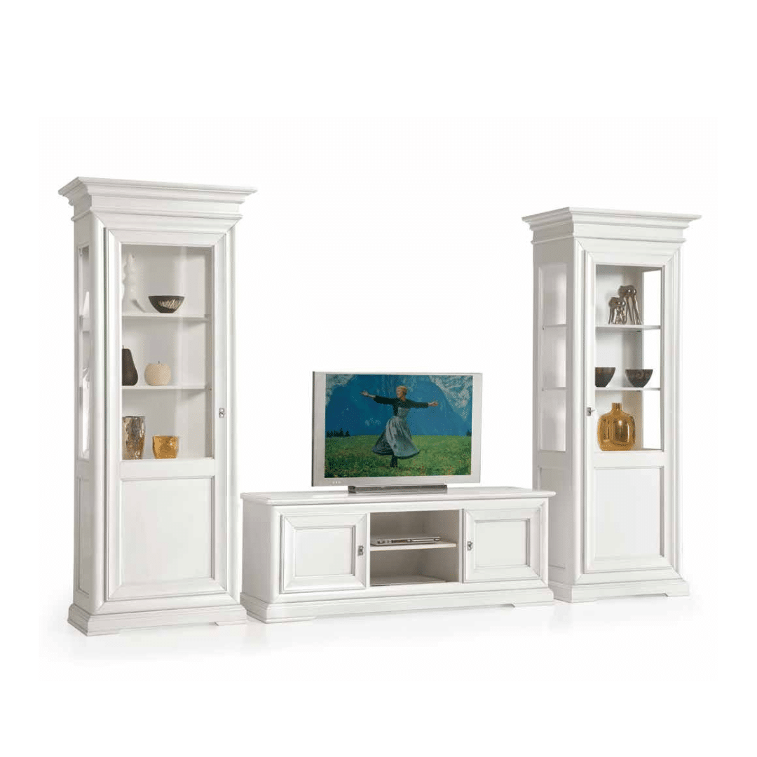Vitrine si biblioteci